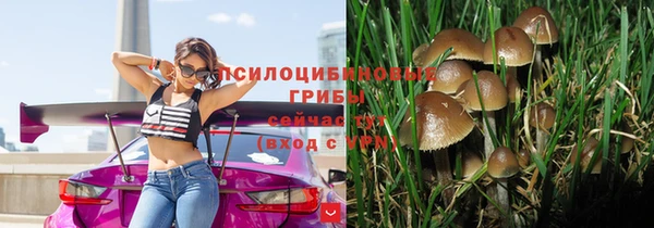 ГАЛЛЮЦИНОГЕННЫЕ ГРИБЫ Балахна