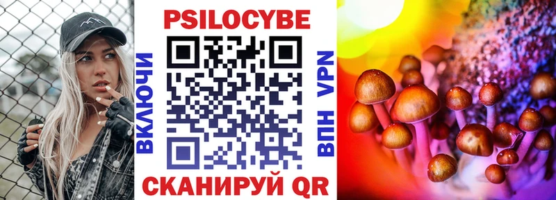 ссылка на мегу ТОР  Шенкурск  Галлюциногенные грибы Psilocybe 