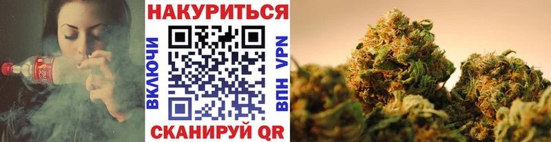 Марихуана SATIVA & INDICA  купить наркотики цена  Шенкурск 